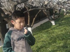 -汉长安城未央宫国家考古遗址公园