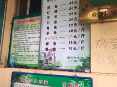 -双新垂钓园