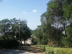 -金鸡山公园
