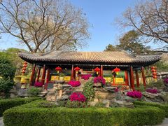 -白家大院·王府宫廷菜(苏州街店)