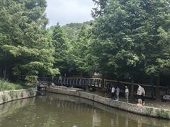 -白水寺森林公园