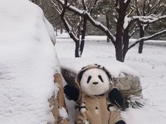 -北京明城墙遗址公园