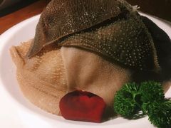 -大渝火锅(苏州西城永捷店)