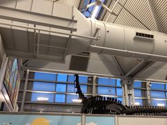 -奥黑尔国际机场