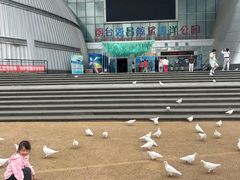 -烟台海昌鲸鲨海洋公园