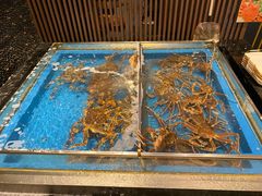 雪蟹-蟹将军·松叶蟹和牛日料放题自助(K11店)