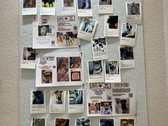 -经福元·推拿·艾灸(广兰路店)