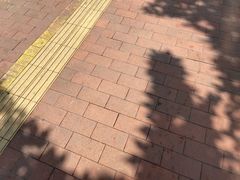 -建辉湖南土菜馆(南大街店)