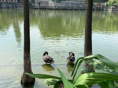 -东莞市可园博物馆