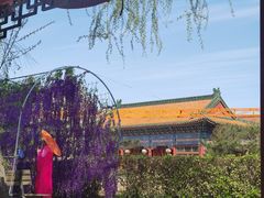 -盛世南宫影视城(北普陀影视城)