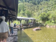 -龙井峡漂流