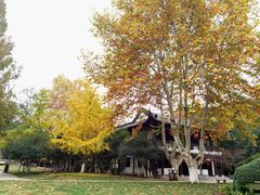 -南山风景名胜区