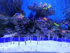 -成都浩海立方海洋公园