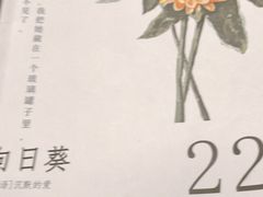 -好玩工厂密室·鹅鸭杀·桌游拼豆电玩