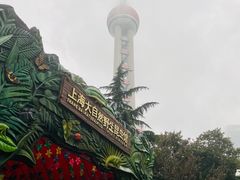 -上海大自然野生昆虫馆(东方明珠·爬宠昆虫探索中心)