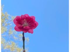 -桃花涧