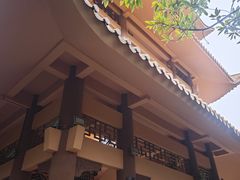 -大屏嶂森林公园