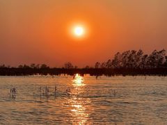 -白洋淀景区