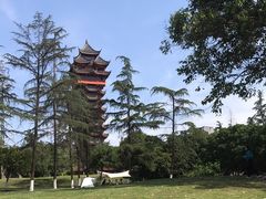 -塔子山公园