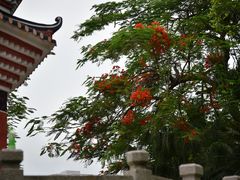 -中山公园(石岐街道)
