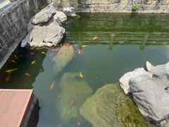 -香积寺