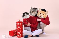 点击看大图 -孖公仔儿童摄影(童服城店)