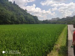 -贵阳市花溪国家城市湿地公园