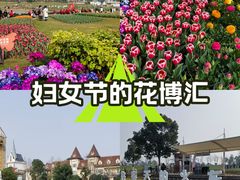-花博汇(知音花月夜)