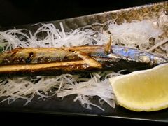 -春草居酒屋·晴子の店