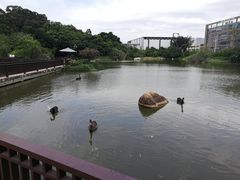 -厦门悦华酒店