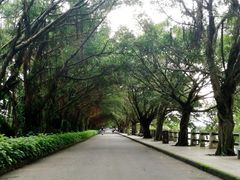-大湾区中央湿地公园