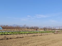 -素行天下(国投财富广场店)