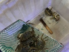-蟹状元大闸蟹·年货·粽子(成都成华店)