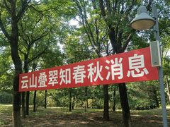 -云岗森林公园
