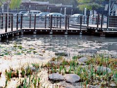 -苏州河梦清园环保主题公园