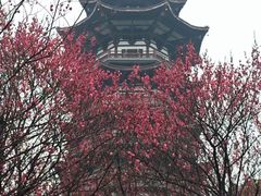 -洋湖国家湿地公园