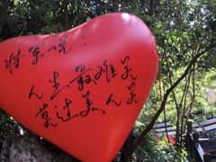 -将军关探险漂流