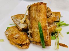 -海金滋(陕西南路店)