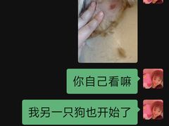 -帕帕拉兹宠物(亚洲旗舰店)