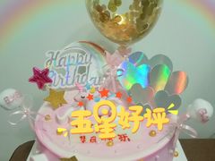 -维尔纳斯·生日蛋糕动物奶油冰淇淋蛋糕(人大店)
