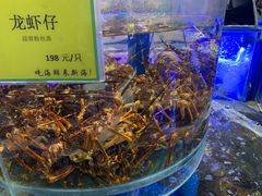 -新海渔港·胶东海鲜家常菜·家宴(奥体中心店)