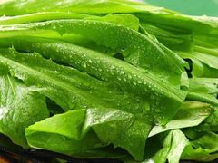 油麦菜-辣莊重庆老火锅(滕州店)