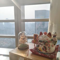 -JNK皮肤管理中心