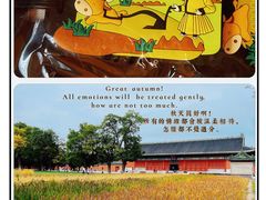 -北京古代建筑博物馆