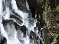 -浙江宾馆·花园餐厅·自助餐厅·茶吧
