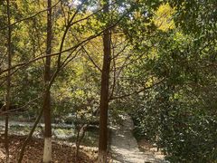 -白马涧龙池景区