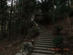 -天目山大树王景区