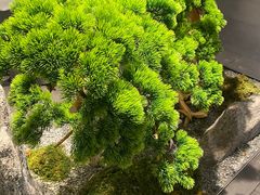 -百富源·海鲜辽菜(和平北大街店)