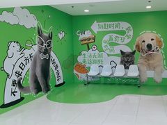 -凯德MALL(望京店)