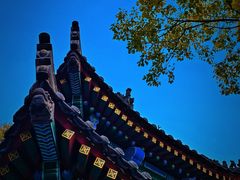 -罔极寺